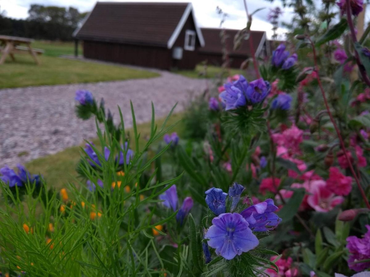 Vila Macbeth'S Hillock Forres Exteriér fotografie